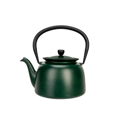 Image de Cosy &amp; Trendy 6644081 Théière en fonte &quot;Jane&quot; 0,92L Vert Tous feux dont induction