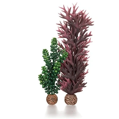 Image de biOrb Algues perles de mer et varech en vert olive