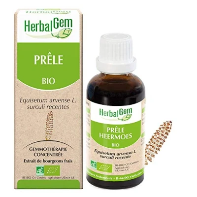 Image de Herbalgem Prêle Bio Complément Alimentaire Extrait De Bourgeon Frais Pour Articulations 30 ml