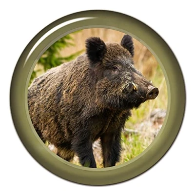 Image de MACMRD Autocollants De Voiture 13Cm Autocollant Animaux Sanglier Vinyle Décalcomanie Pour Moto Pare Chocs Corps Fenêtre Arrière Décorative
