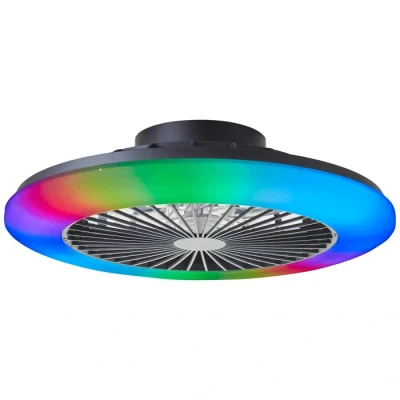 Image de Brilliant G60020/06 Salerno LED Deckenleuchte module 40W noir
