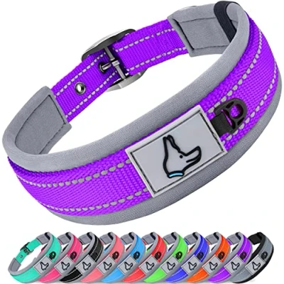 Image de Joytale Collier Chien, Réglable Grands pour Chien Rembourré, Bandes Réfléchissant, Violet, L
