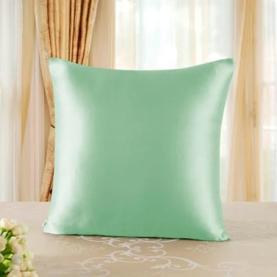 Image de townssilk Taie d&#039;oreiller en Soie,100% Naturelle de mûrier 19 Momme,Deux côtés Soie Certifiée Oeko Tex Bienfaits Cheveux et Peau,hypoallergénique,1 unité,60x60cm,Verte