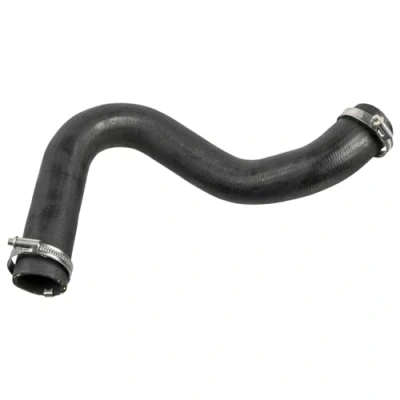 Image de FEBI BILSTEIN 175705 Gaine De Suralimentation 58 CR (caoutchouc chloroprène) avec colliers FORD: C Max, Focus 2 Limousine,
