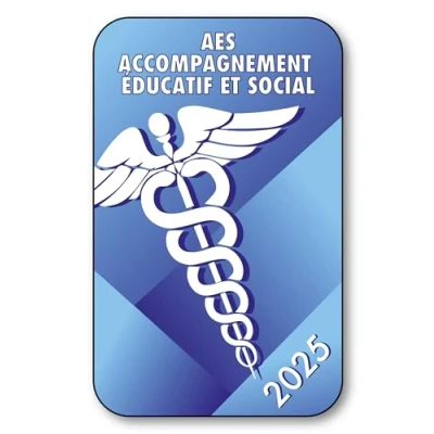 Image de SIGNAL SAFETY Autocollant Sticker Vignette Caducée 2024 pour Pare Brise en Vitrophanie V5 AES Accompagnement Éducatif et Social