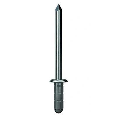 Image de GESIPA 50 rivets aveugles en acier inoxydable (VA) Diamètre 48 x 170 mm PolyGrip® de qualité industrielle Achetez des creux professionnels la technique rivetage aveugle.