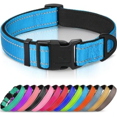 Image de Joytale Collier pour Chien en Nylon avec Bande Réfléchissante,Collier Rembourré Classique Moyenne Chien,Bleu,M