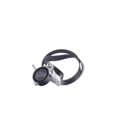 Image de INA 529 0167 10 Jeu de courroies trapézoïdales à nervures Contrôler et changer roue libre alternateur si nécessaire VOLKSWAGEN: Passat B8 Variant