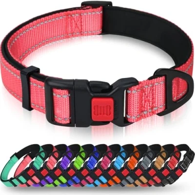 Image de Taglory Collier pour Chien, en Nylon Réfléchissant Réglable Classique avec Rembourré Doux Respirant Mesh Petits Chiens, S, Rose