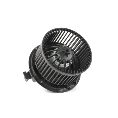 Image de RIDEX 2669I0003 Pulseur d&#039;Air pour véhicules avec système de climatisation RENAULT: MEGANE 2, 2 Stufenheck, Coupe Cabriolet
