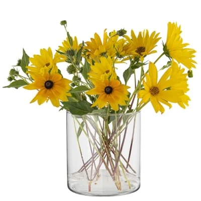 Image de TREND FOR HOME Vase Cylindrique en Verre H: 15 cm Fleur Pot Pourri Rond Transparent Minimaliste Decoratif Recipient pour Bougies ⌀ 2350 ML Calen