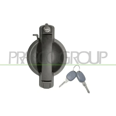 Image de PRASCO FT9088042 Poignée de Porte extérieur, avant gauche avec cylindre fermeture, clé noir FIAT: Doblo I Cargo, Break