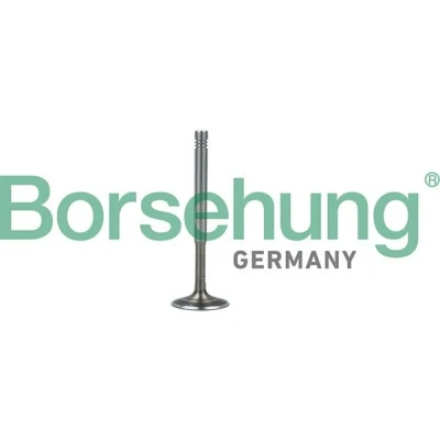 Image de Borsehung B19010 Soupape d&#039;Échappement AUDI: A3 3/5 portes, A4 B6/B7 Cabriolet, B7 Berline, VOLKSWAGEN: Golf 4, Passat B5 GP Bora Variant