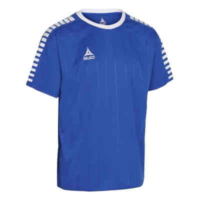 Image de Maillot Select Argentina