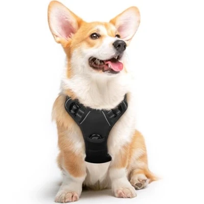Image de Eagloo Harnais Chien, Anti Traction pour Chien Réfléchissant Réglable, Facile à Mettre, avec Poignée Contrôle, Arnet Respirant, Solide, Moyen et Grand, Noir, M