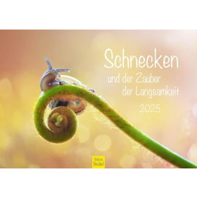 Image de Edition Seidel Calendrier de qualité supérieure Motif escargots et magie la lenteur Format A3 mural escargot citations Nature