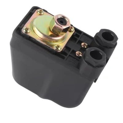 Image de Commande de Pompe à Eau, Régulateur Pression, Eau Commutateur Électronique automatique, Tension Nominale 250 V, Filetage D&#039;Interface Zg1/4 &quot;G1/4&quot;