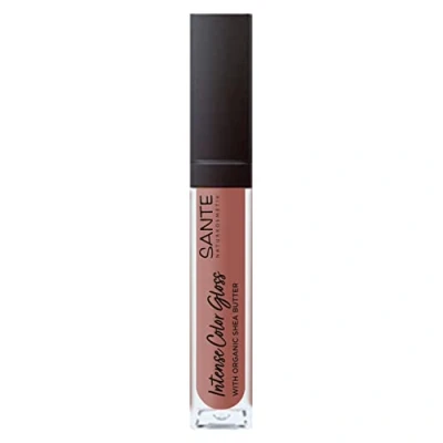 Image de Sante Naturkosmetik Intense Color Gloss à lèvres naturel avec finition brillante et beurre de karité pour des soignées N02 Soothing Terra 1 x 5,3 ml