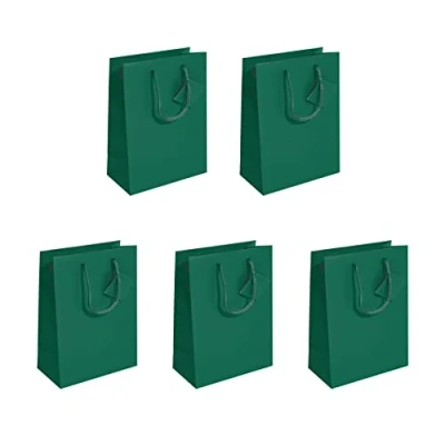Image de SIGEL GT501 Lot de 5 sacs cadeaux, moyenne, 23 x 17 cm, mat, vert foncé