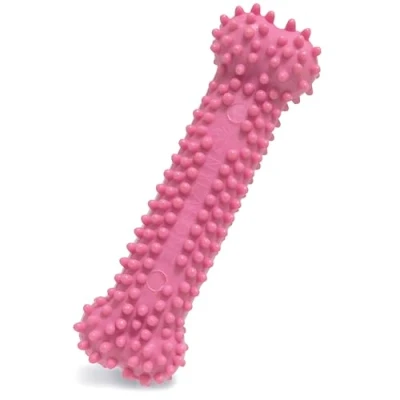 Image de Nylabone Jouet à mâcher pour chiots qui font leurs dents, en forme d&#039;os texturisé, rose, arôme poulet, les tout petits chiens/chiots (jusqu’à 7 kg), mâchouilleurs paisibles/qui dents.