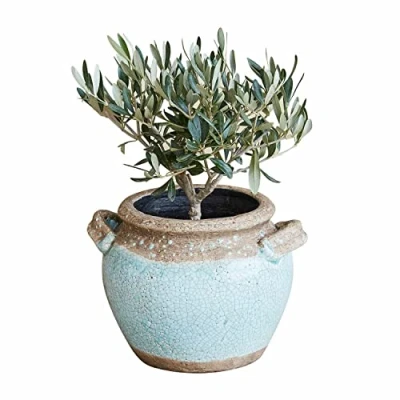 Image de Loberon Cache Pot Elisa, Bleu