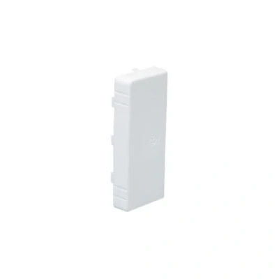 Image de embout goulotte 100 x 80 blanc ta e/g iboco 00875
