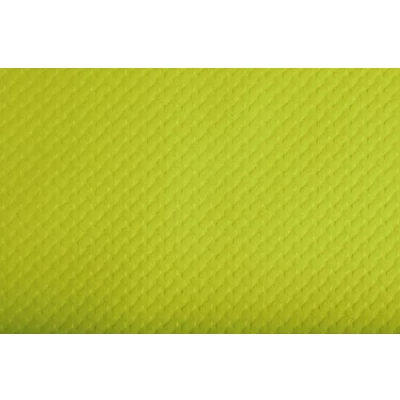 Image de COGIR 500 Sets de Table Papier gauffré Brillant 30 x 40 cm (Kiwi)