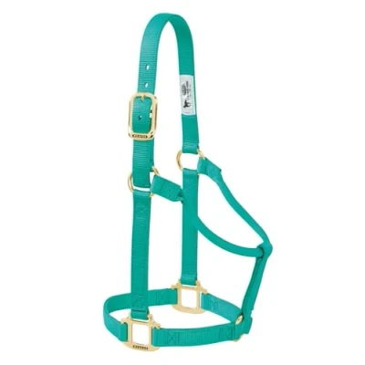 Image de Weaver Leather Licol Original Non réglable en Nylon pour Cheval Vert émeraude Taille S
