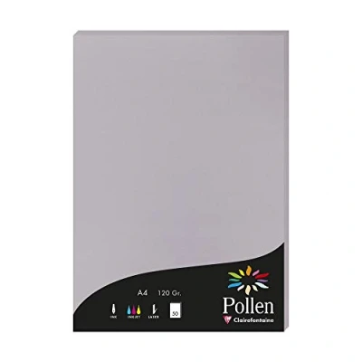 Image de Clairefontaine 4232C Étui de 50 Feuilles Format A4 (21x29,7cm) 120g/m² Coloris Gris Koala Papier d&#039;Invitation Evènements et Correspondance Gamme Pollen Premium Lisse
