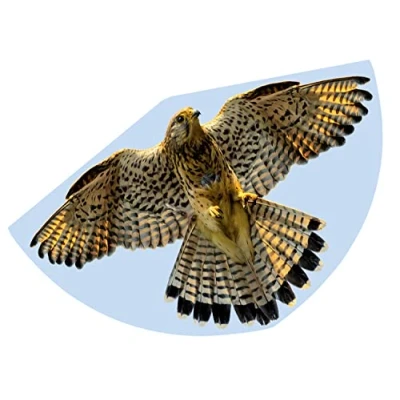 Image de GÜNTHER FLUGSPIELE Paul Günther 1230 cerf volant pour enfants avec motif de faucon, à une corde en film PE robuste, partir 4 ans, taille env. 92 x 62 cm