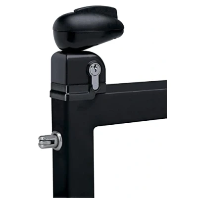 Image de LOCINOX SNA60105 Serrure TWIST pour portillon de Piscine Noir ral 9005 40