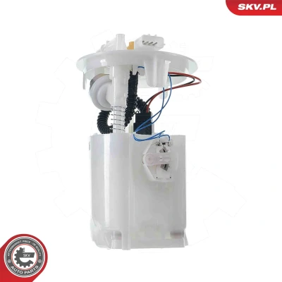 Image de Unité d&#039;injection de carburant ESEN SKV 02SKV858