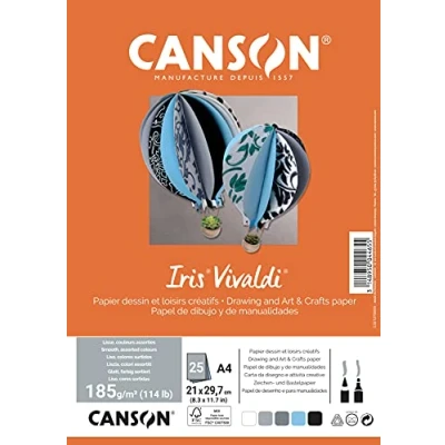 Image de CANSON Iris Vivaldi Paquet 25 feuilles de papier couleur A4 185g/m² Assortiment gris