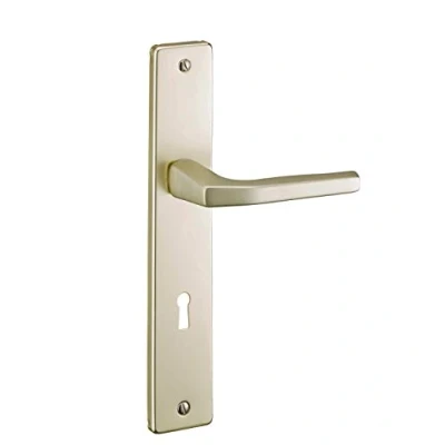 Image de THIRARD Ensemble de poignées pour porte intérieure Picardie trou clé, carré 7mm, entr&#039;axes 195mm, couleur champagne