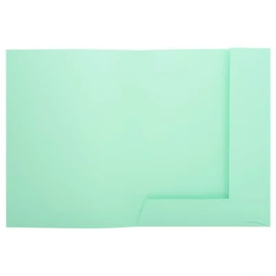 Image de Exacompta Réf. 332004E Paquet de 50 chemises rigides avec 2 rabats SUPER 210 g/m² couleurs pastel certifiées PEFC™ dimensions 24 x 32 cm pour documents format A4 couleur vert clair