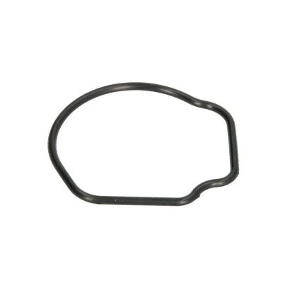 Image de AJUSA 01096800 Joint d&#039;étanchéité, thermostat FIAT: Doblo I Cargo, Idea, Break, OPEL: Corsa C 3/5 portes, Meriva A, Combo Van / Break