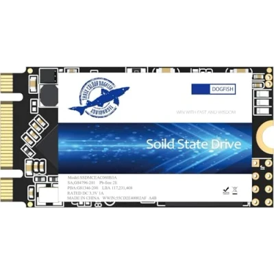 Image de Dogfish SSD M.2 2242 250Go Ngff Ordinateurs De Bureau à l&#039;intérieur l&#039;actionneur SolideDe Haute Performance (250Go, 2242)