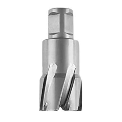 Image de FEIN 63127289010, Fraise carbure Ultra 50 Weldon 3/4&quot;, Ø25x50mm, Accessoire Outil de Coupe, pour tous types supports, Durée vie maximale et Efficacité Exceptionnelle