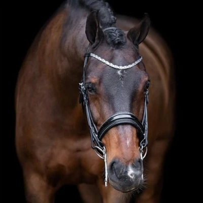 Image de Imperial Riding Bride IRHOlympia Noir/argenté F/S