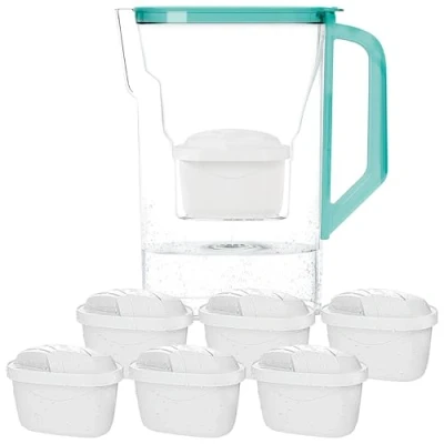 Image de Wessper Carafe Filtrante avec Filtre, pour porte de réfrigérateur 2,7 L, Cartridges Charbon Actif et Résine échangeuse d&#039;ions, Pitcher set 6 Filtres Menthe