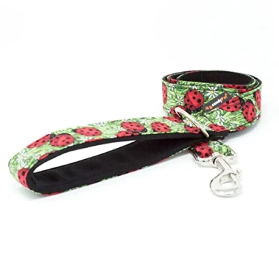 Image de CandyPet® Laisse pour Chien 120 cm avec poignée rembourrée Modèle coccinelles