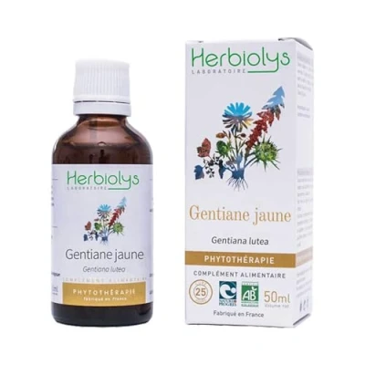 Image de Extrait de Plantes Fraîches Bio Gentiane Jaune Gentiana lutea Phytothérapie Tonifiant et stimulant pour l&#039;organisme 1 Flacon 50 ml Herbiolys