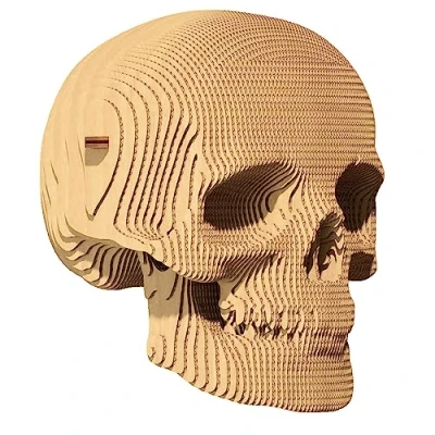 Image de CARTONIC Skull : Un Voyage captivant d&#039;assemblage et de créativité Puzzle 3D en Carton Le se transforme Une Figure Relief Made of Recycled Cardboard