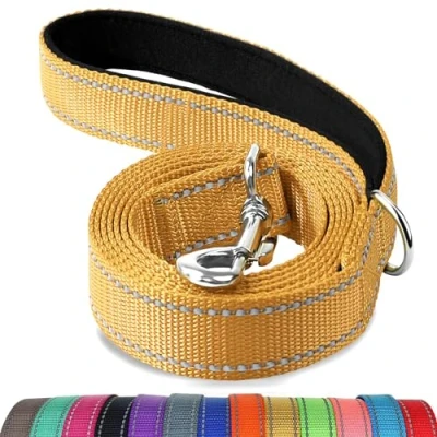 Image de Joytale Laisse Double Face Réfléchissante Robuste pour Chien, avec Poignée Rembourée,1.2m x 2cm,Marron
