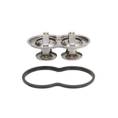 Image de THERMOTEC D2SC001TT Thermostat d&#039;eau 80 91,8 avec joint d&#039;étanchéite sans boîtier