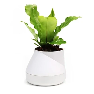 Image de QUALY Oasis Hill QLX20001 WH Pot de Fleurs avec système d&#039;irrigation Automatique Blanc Taille S