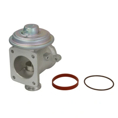 Image de Vanne EGR WAHLER 710924D