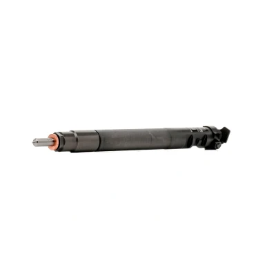 Image de DELPHI R00101DP Porte injecteur PEUGEOT: 3008 I, 5008 407 SW, CITROËN: Jumpy II Van, C5 III Break, 3, FORD: KUGA 2, 1, S Max Mk1 oscaro,