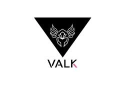 Valk Gaming