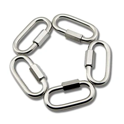 Image de Yasorn M6 Maillon Rapide en Acier Inoxydable D Forme Mousqueton Maillons de Chaîne 5pcs